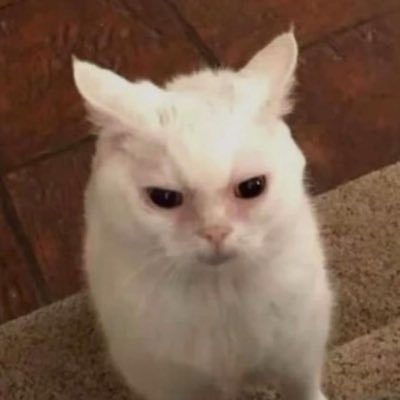 nosiuol1's profile picture. tattoos, music, nature, love and photos