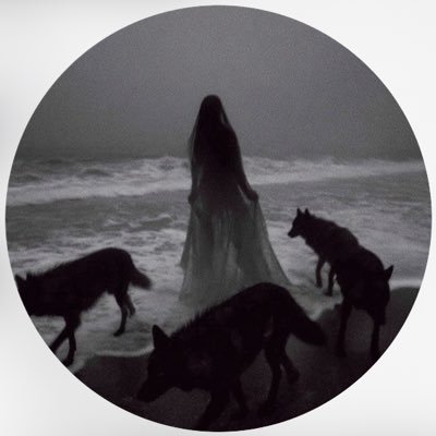 l2jr9's profile picture. شي من حدّة مزاجي وشيٍ من الظروف.@ittihad