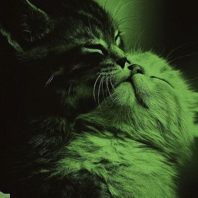 SantanaSaVcao's profile picture. 