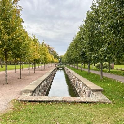 ManuCSP_17's profile picture. 