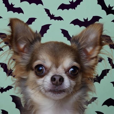 Tope75503336's profile picture. more in crypto than tech