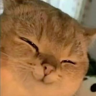 iqzo_O's profile picture. XOXO