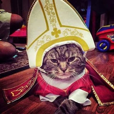 healthyfamilytx's profile picture. Faith, Hope, and Charity in action; Prudence, Justice, Temperance, and Fortitude in practice. Pro-life + data-minded, building communities that actually work.