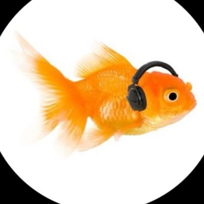 ad_whore_able's profile picture. sempre bom lembrar que eu não fodo com absolutamente nenhum de vocês 8)