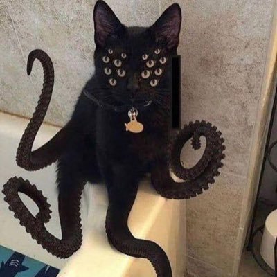 headlicehatesu's profile picture. | глупые американцы | 𓆏