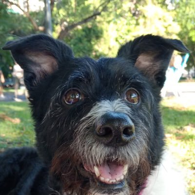 Guillermoa1978's profile picture. Mercader. Matrícula AP nro. 2629