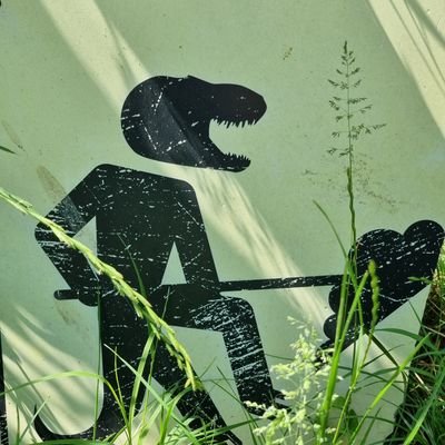 GattoDav's profile picture. 