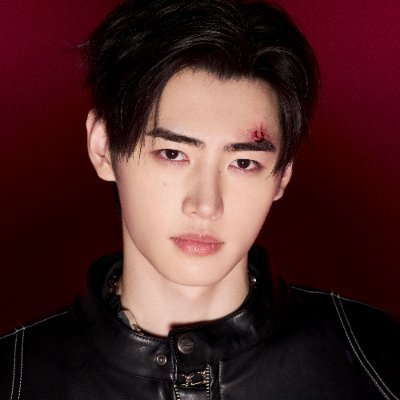 ccherishoon's profile picture. ✩°｡ wrapped in #성훈's charm ˑ ִֶ 𓂃⊹ ethereal vibes and heart full of enhypen love ♧₊˚✧