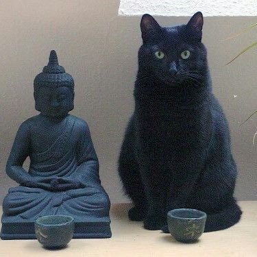 gloxenko's profile picture. 