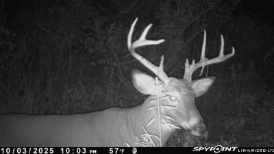 mr_pappas's profile picture. smtp.eth
Better living through sustainable science. 
f-ø-å-k Quantum now, freedom tomorrow ℥
Philosophies & 🌎pinions expressed are mine