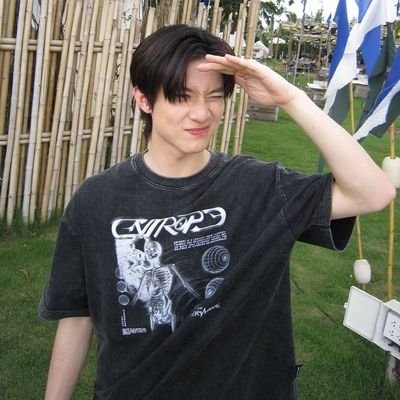 blowinflag's profile picture. OC-RP : Vincentius von Herhardt. GF2AU5008: Care of Magical Creatures, Muggle Studies, and History of Magic. (on temporary swap).