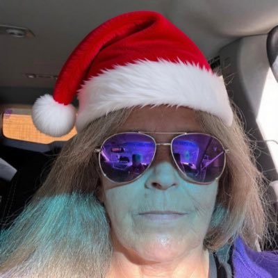 DzGrammas2008's profile picture. I STAND WITH ISRAEL 🇺🇸 we are a constitutional republic and a Judeo-Christian country 💜🇺🇸  democrats are Marxist