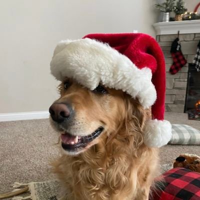 supahandz82's profile picture. No more H1B visas. Deport all Illegals.