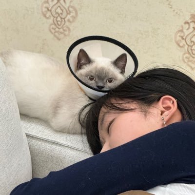 unflwMaige's profile picture. No DMs. contact me on DC @unflwmaige