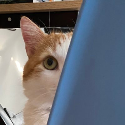 crazypeptos's profile picture. my project: @russianmemes420