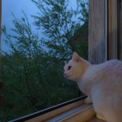 morozvuk's profile picture. Pharm stud👩🏻‍🔬
Bookieshh enthusiast📚