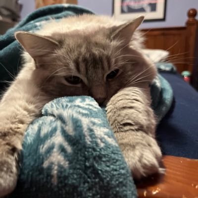 hqnnahig's profile picture. ZSS Sux - Lucina “secondary” (i’m a one trick) - i like video games - the one with the briefcase setup