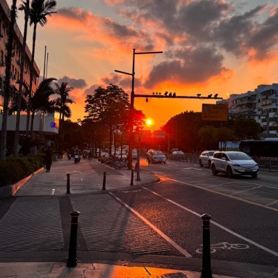 naizinaizis's profile picture. ソウルの光、東京の静けさ、台北の温度が私を少し大人にしました。投資は日常であり、自分を整える時間。