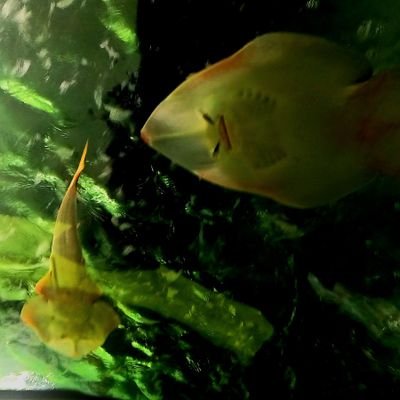 rahm80254's profile picture. 