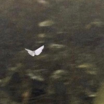 tahminarahmani's profile picture. a pretty lady