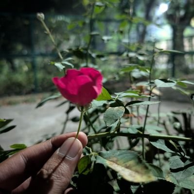 hasshirkhannn's profile picture. 