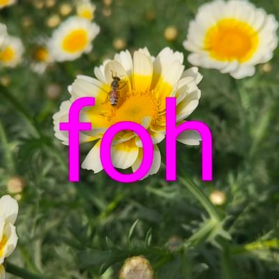 Jewlogist's profile picture. 