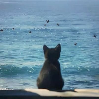 faiisahhh's profile picture. 