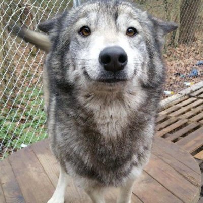 pufferfish1472's profile picture. 