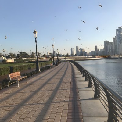 shiqinmei's profile picture. アメリカの旅先で感じた自由さは、今の私の軸になっています。
投資は私の生活習慣。