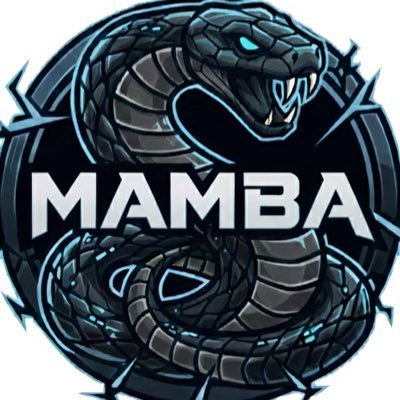 @MambaCoC
