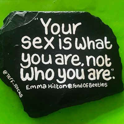 Terf_Rocks's profile picture. I am a Gargoyle of Beelzebub and I also paint rocks with the quotes of (mainly) Women who inspire me.   Every Terf Rock is hand painted I DO NOT use AI.