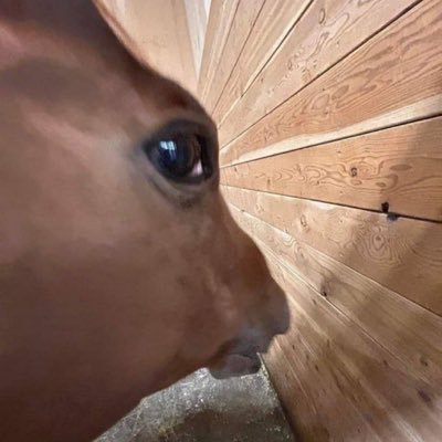 skol_ball's profile picture. Join me on Moby! Use my link: https://t.co/lVWvPYZGph $spsn $FKH