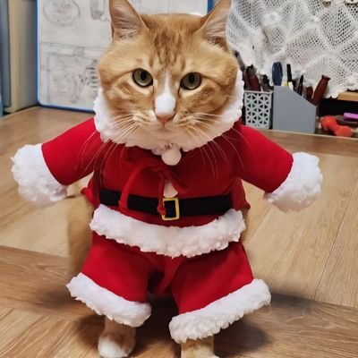 yangppulhaema's profile picture. 