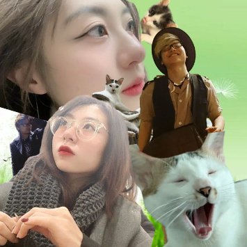 RenoJackson_HS's profile picture. Top 4 International Wild Open 2018. Manager & Head of Content team for @wildsidehs.