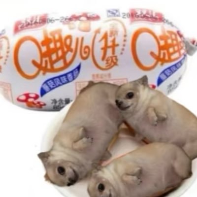 Princesstoast11's profile picture. 你既想又何必怕 ｜提问在https://t.co/LmXkRTZuF2