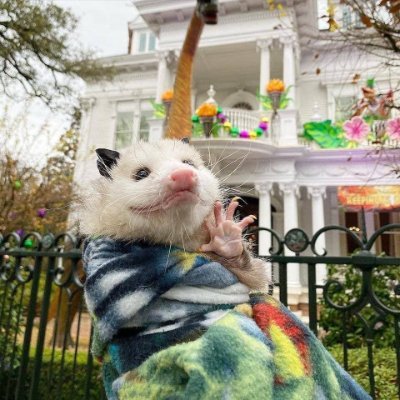 CesarSinFrenos's profile picture. 