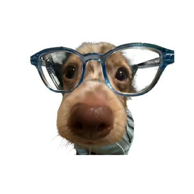 Desty_jengpoong's profile picture. only for เจ่งปุ๋ง หะยิด น้ำปิง