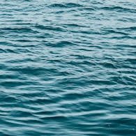 danapairs's profile picture. 