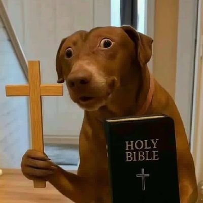 miminawew's profile picture. 