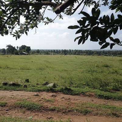 Mohamed65649738's profile picture. 