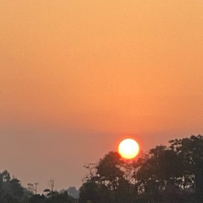 fguddfc's profile picture. 新号