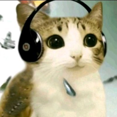 SamuelSMIT23157's profile picture. A guy