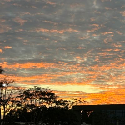 Darkblue2263's profile picture. 