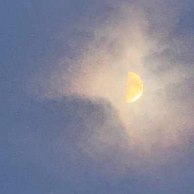 PentecostMoon's profile picture. The wolves are running