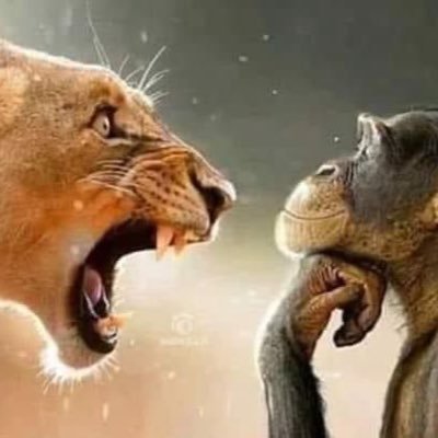 rayenrdi2's profile picture. juste un mec nostalgique