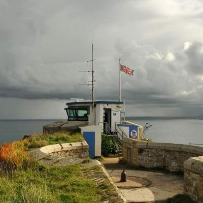 NCISTIVES's profile picture. 