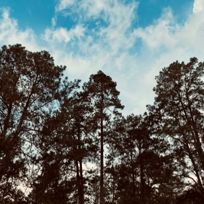 brzepeda16's profile picture. 💛 Salmos 126:5