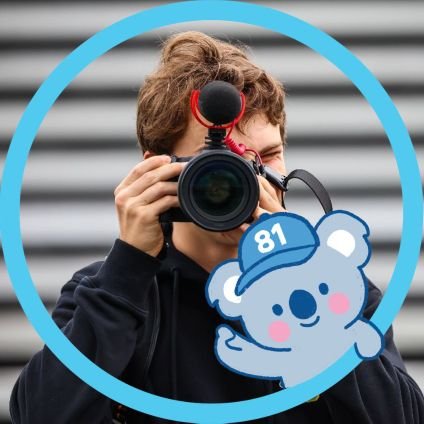 P1ASTHREE's profile picture. 812223 mostly. 26, any pronouns. EN/FL i also know a bit of JP and CN. #powerofthekoala