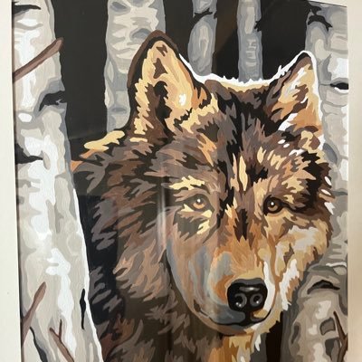 Kachina1111's profile picture. Exposing the truth takes time ~ Praying for Change ~ Mind traveler ~ Lone wolf journey  ~ fan of Grok