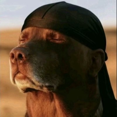 jaysayles5's profile picture. 